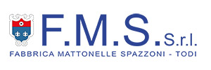 logo fms