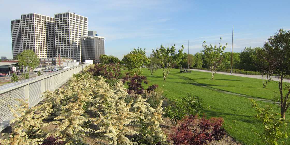 Cool roof e green roof. Il progetto delle coperture ad alta efficienza