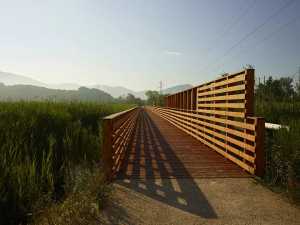 Fleur de lotus : un chemin suspendu entre l'eau, la nature et la mémoire