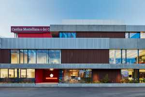 Cave Montelliana, une nouvelle marque dans le paysage productif