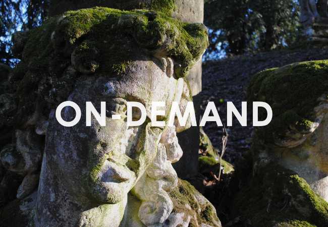 Degrado biologico nelle superfici architettoniche: Diagnosi, rimozione e prevenzione