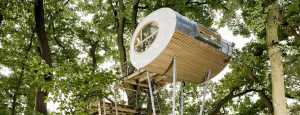 Innovation et nature : la maison dans les arbres en Basse-Saxe